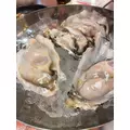 えりか|豊橋市 松葉町のキャバクラ|Club the Club(クラブザクラブ)