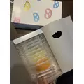 北乃 アリス|旭川市 4条通のニュークラブ|Four Season(フォーシーズン)