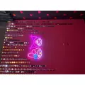 ゆず|渋谷区 宇田川町のキャバクラ|BABEL(バベル)