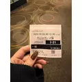美咲 のばら|札幌市 中央区南のニュークラブ|Leicester(レスター)
