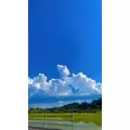 らん|都城市 牟田町のキャバクラ|Jardin(ハルディン)