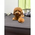 ミヅキ|さいたま市 大宮区仲町のキャバクラ|ai(アイ)