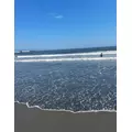 リン|台東区 浅草のガールズバー|Soleil(ソレイユ)