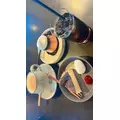しほ|都城市 牟田町のキャバクラ|Jardin(ハルディン)