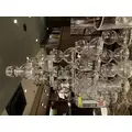 はづき|長崎市 銅座町のキャバクラ|QUEEN(クイーン)