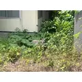 白咲 澪|札幌市 すすきののニュークラブ|Fillia(フィリア)