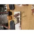 まな|渋谷区 宇田川町のキャバクラ|BABEL(バベル)