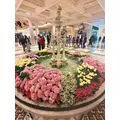 姫那月 ゆい|福岡市 博多区中洲のキャバクラ|BURJ(ブルジュ)