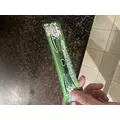 はづき|長崎市 銅座町のキャバクラ|QUEEN(クイーン)