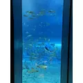 るな|那覇市 松山のキャバクラ|SEASIDE(オキナワシーサイド)