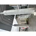 桜井 ちひろ|三島市 一番町のガールズバー|どれみ・カフェ(ドレミカフェ)