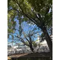 えりか|豊橋市 松葉町のキャバクラ|Club the Club(クラブザクラブ)