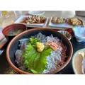みぃちゃん♡|船橋市 本町のキャバクラ|Donfin(ドンフィン)