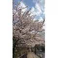 ラム|さいたま市 大宮区仲町のキャバクラ|ai(アイ)