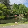 成海 まお|札幌市 すすきののニュークラブ|凛()