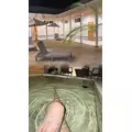 如月 エリカ|鹿児島市 山之口町のキャバクラ|EMIRAI(エミライ)