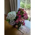 花咲 みらい|札幌市 中央区南のニュークラブ|Leicester(レスター)