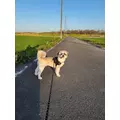 ミカ|さいたま市 大宮区仲町のキャバクラ|ai(アイ)