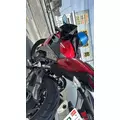 れいな|渋谷区 宇田川町のキャバクラ|BABEL(バベル)