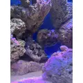 ナミ|海部郡 蟹江町錦のキャバクラ|carthago(カルタゴ)