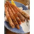 七瀬 えみり|名古屋市 中区錦の姉キャバクラ|ジュリアナ()