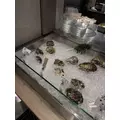 にも|新宿区 歌舞伎町のラウンジ|:(コロン)