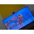 ゆうみ|横浜市 中区福富町のキャバクラ|ROYAL(ロイヤル)
