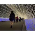 えりな|都城市 牟田町のキャバクラ|Jardin(ハルディン)