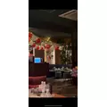 かんな|船橋市 本町のキャバクラ|Donfin(ドンフィン)