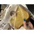 ぽめ・らにあん|大分市 都町のコンカフェ|Candy Made(キャンディーメイド)