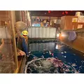 あいら|豊橋市 松葉町のキャバクラ|Club the Club(クラブザクラブ)