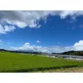 りょう|都城市 牟田町のキャバクラ|Jardin(ハルディン)
