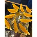 はな|港区 赤坂のキャバクラ|THE CLUB AKASAKA(ザ クラブ アカサカ)