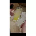 ひかる|さいたま市 大宮区仲町のキャバクラ|Luxe(ラグゼ)