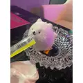 りあちゃん!?|豊島区 東池袋のコンカフェ&ラウンジ|Hi-potion(ハイポーション)