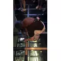 ひなた|杉並区 永福町のガールズバー|JEWEL STADIUM(ジュエルスタジアム)