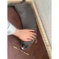愛川 らん|名古屋市 中区錦のキャバクラ|KAGERO(カゲロウ)