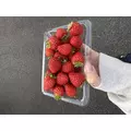 こころ|長崎市 本石灰町のラウンジ|RELAIR(リレア)