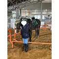 まや|福岡市 博多区中洲のキャバクラ|Red Shoes(レッドシューズ)