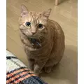 神永 莉聖|函館市 本町のニュークラブ|Loop(ループ)