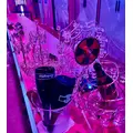 みさ|小田原市 栄町のガールズバー|& Co.(アンドコー)