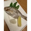 あい|霧島市 国分中央のキャバクラ|Les Ailes(レゼル)