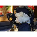 かんな|船橋市 本町のキャバクラ|Donfin(ドンフィン)