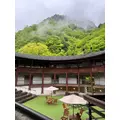 ひな|船橋市 西船のキャバクラ|西船橋 Vellugue(西船橋 ヴェルージュ)