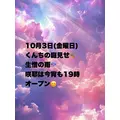 藤本 祐子ママ|長崎市 船大工町のスナック|咲耶(サクヤ)