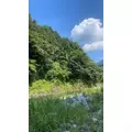ひろみ|渋谷区 宇田川町のキャバクラ|BABEL(バベル)