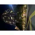 りお|渋谷区 宇田川町のキャバクラ|BABEL(バベル)