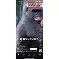 八神 ゆうこ|名古屋市 中区錦のクラブ|色錦()