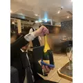 はな|港区 赤坂のキャバクラ|THE CLUB AKASAKA(ザ クラブ アカサカ)