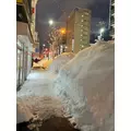 花咲 みらい|札幌市 中央区南のニュークラブ|Leicester(レスター)